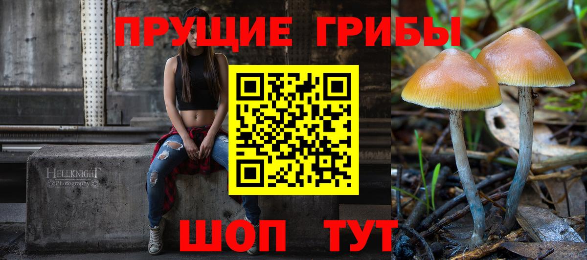 Псилоцибиновые грибы GOLDEN TEACHER  Псилоцибиновые грибы MAGIC MUSHROOMS  даркнет сайт  Энгельс  Вход с VPN 